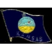 KANSAS PIN STATE FLAG PIN